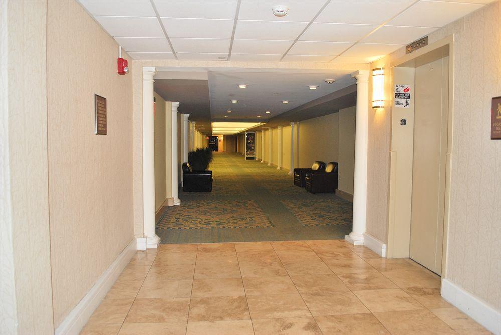 Hotel Wyndham Garden 4*